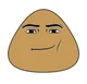 Pou