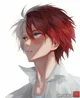 Shoto Todoroki 