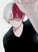 Shoto Todoroki