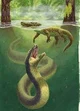 Titanoboa