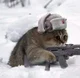 Communist cat