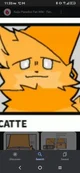 Catte