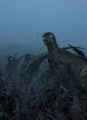 Utahraptor ambush