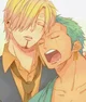 Sanji y Zoro