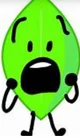 scared leafy