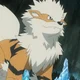 Arcanine