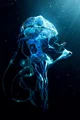 Humanoid  jellyfish