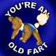 Farting bear