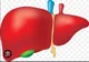 Liver 