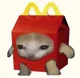 Happymeal cat