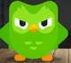 Angry duolingo