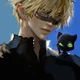 Chat Noir Cat Noir