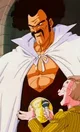 Mr Satan