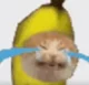 Banana cat