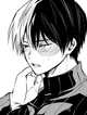 Shoto todoroki 