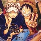 Law and Luffy