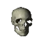 Spinnin skull