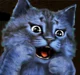 Cat Leonard