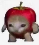 Apple cat