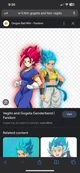 Fem gogeta-Vegito 