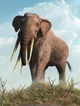 Miocene elephant