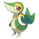 Snivy