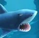 The Hungry Shark