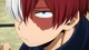 Shoto Todoroki 