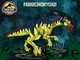 PARADELONYCHUS