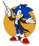 Sonic the hedgehog 
