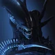 Xenomorph