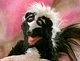 Stinky The Skunk 
