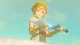 zelda totk 