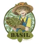 Basil