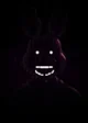 Shadow bonnie