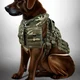 Your army dog 