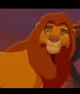 Simba 