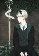 Draco principe 
