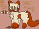 WC-AU SolarFlare 
