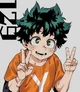 Shy Deku