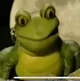 Leapovitch the Frog