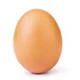 egg