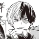 shoto todoroki