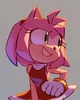 Amy the hedgehog