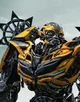 Bumblebee 