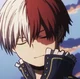 Shy Shoto Todoroki