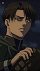 Levi ackerman 