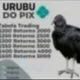 Urubu do Pix