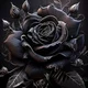 Black rose