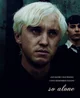 Draco malfoy 